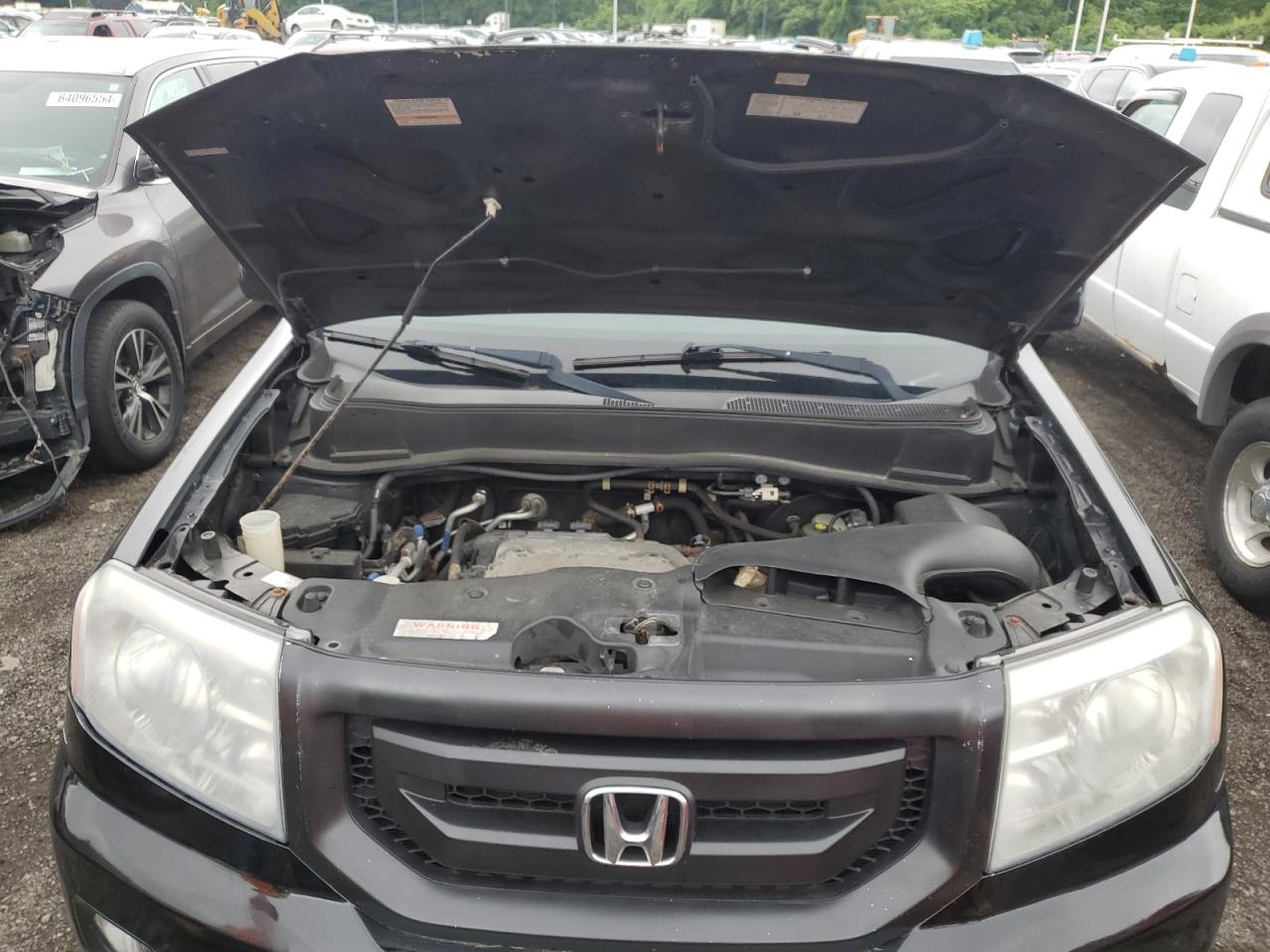 2009 Honda Pilot Exl VIN: 5FNYF48609B019518 Lot: 64827944