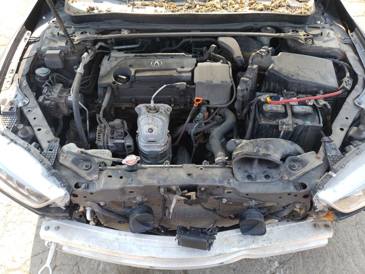 2018 Acura Tlx VIN: 19UUB1F38JA011425 Lot: 64680754