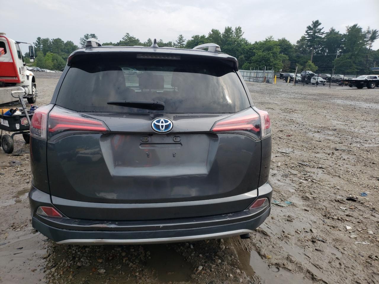 2016 Toyota Rav4 Hv Xle VIN: JTMRJREV7GD019578 Lot: 64717704