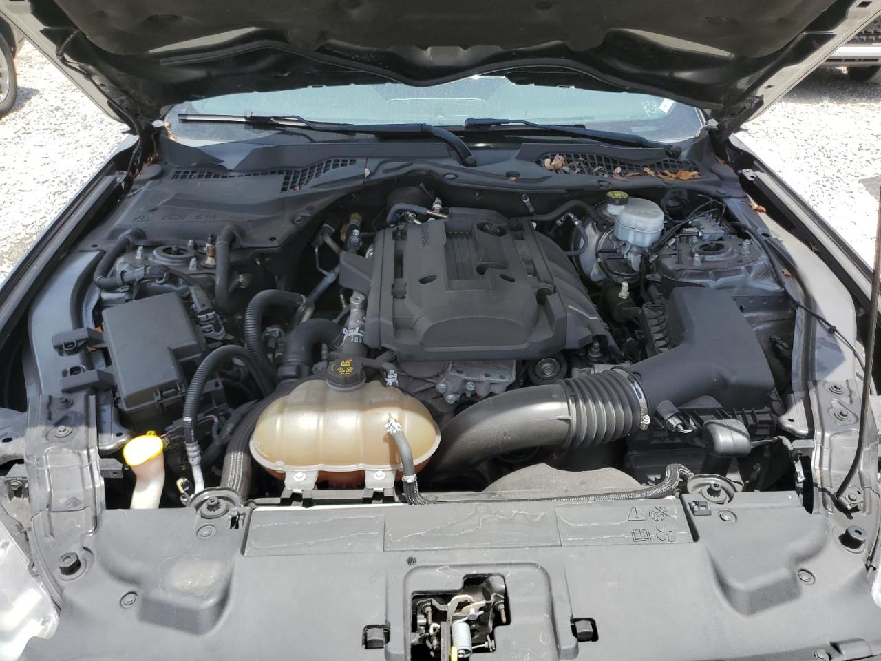 2018 Ford Mustang VIN: 1FA6P8TH6J5158939 Lot: 63826164