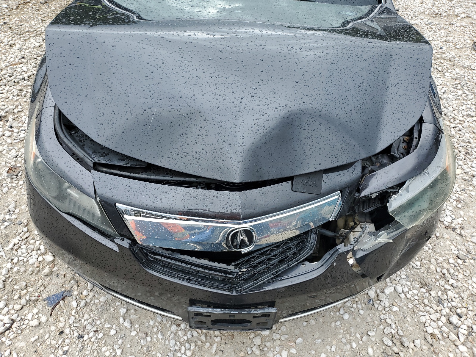 19UUA8F55DA012095 2013 Acura Tl Tech