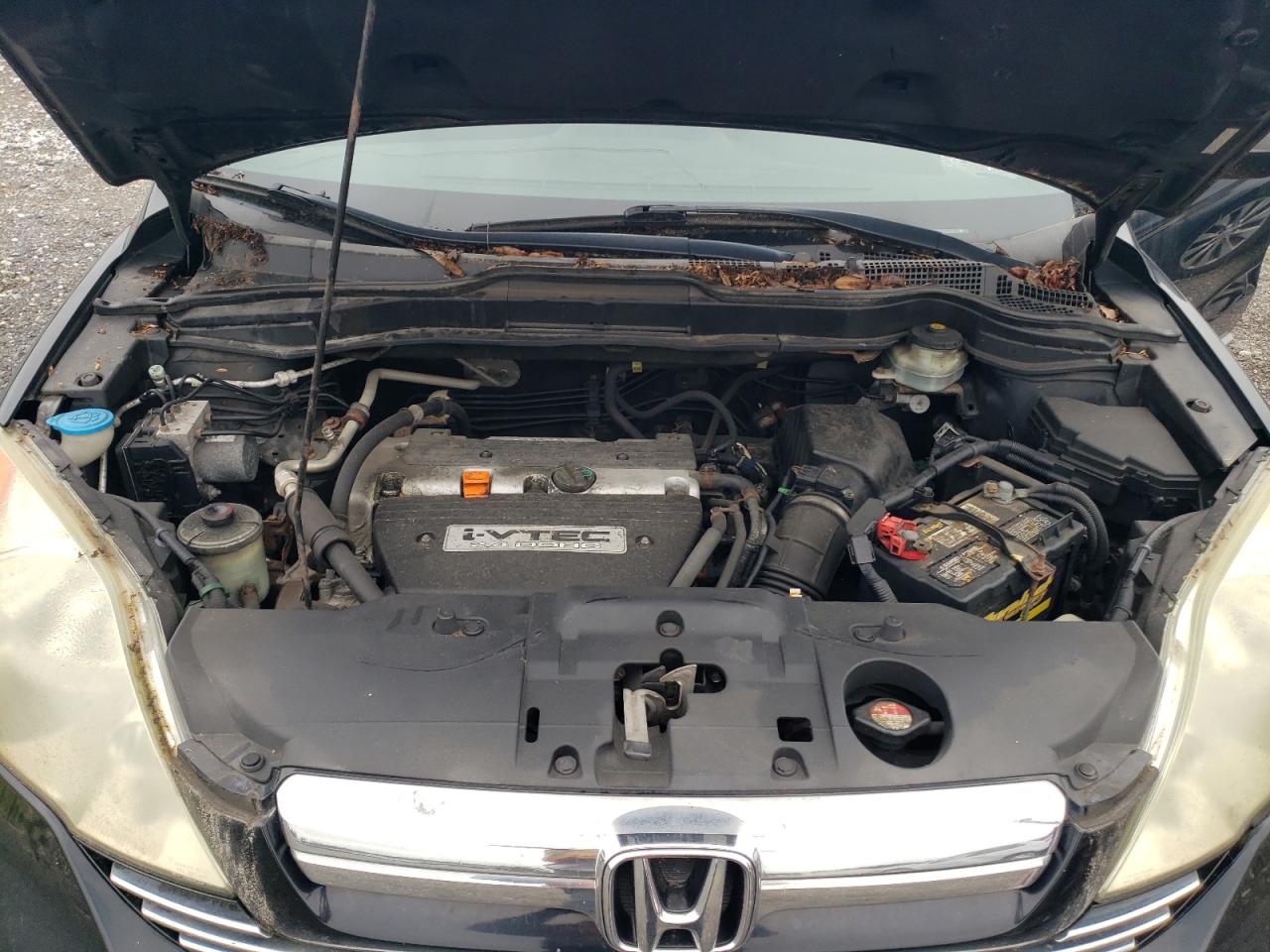 2008 Honda Cr-V Ex VIN: 5J6RE48538L010932 Lot: 64689314