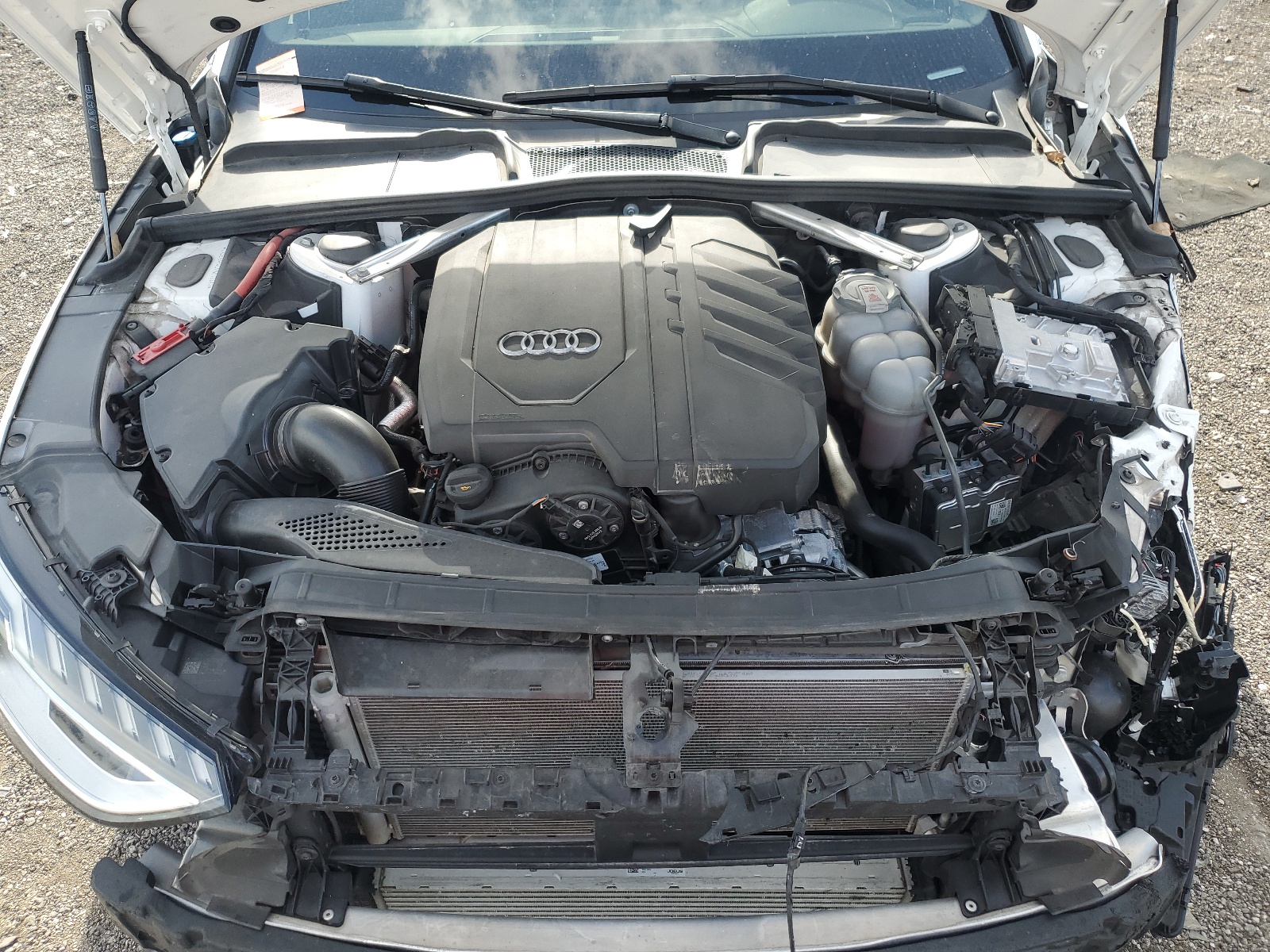 WAUEAAF42NN013391 2022 Audi A4 Premium Plus 45