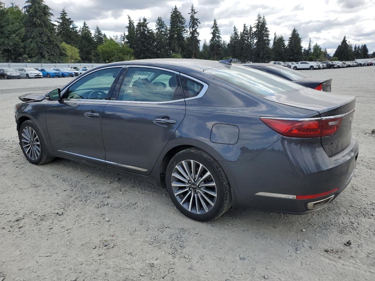 2017 Kia Cadenza Premium VIN: KNALB4J10H5036501 Lot: 64830534