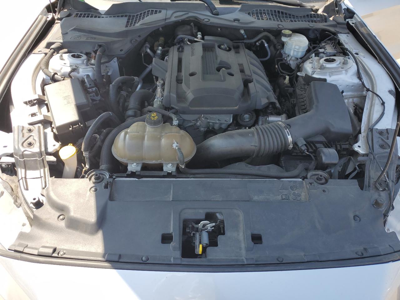 2019 Ford Mustang VIN: 1FA6P8TH2K5185993 Lot: 63926374