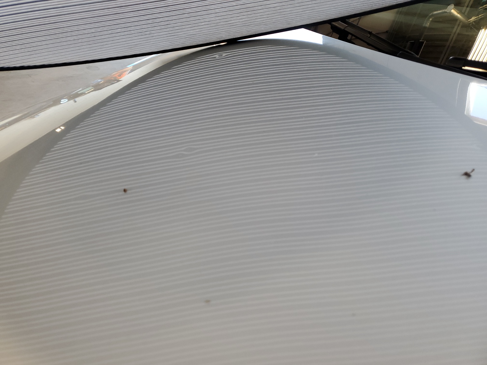 WVGAV7AX9CW534833 2012 Volkswagen Tiguan S