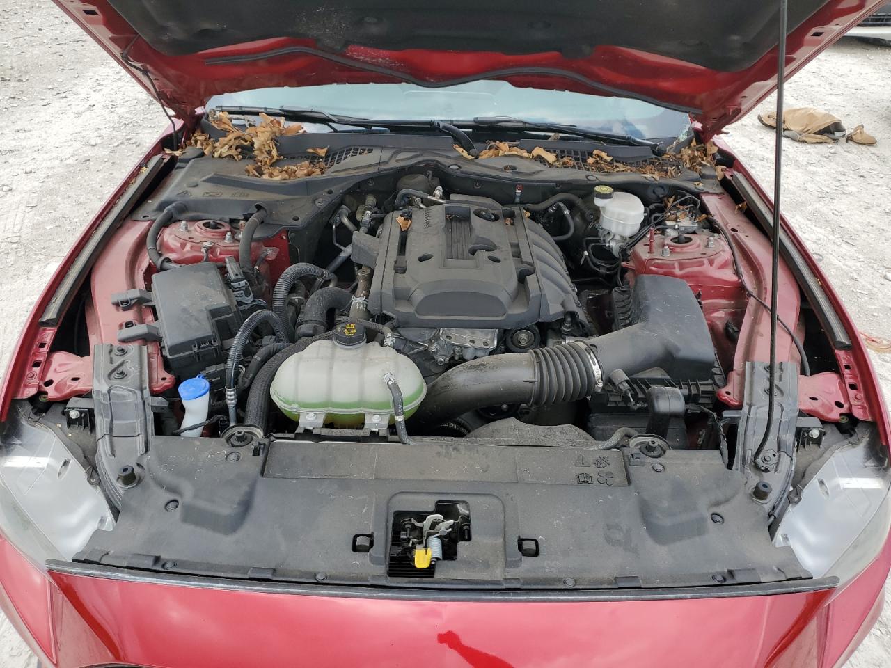 2020 Ford Mustang VIN: 1FA6P8TH5L5158336 Lot: 64203204