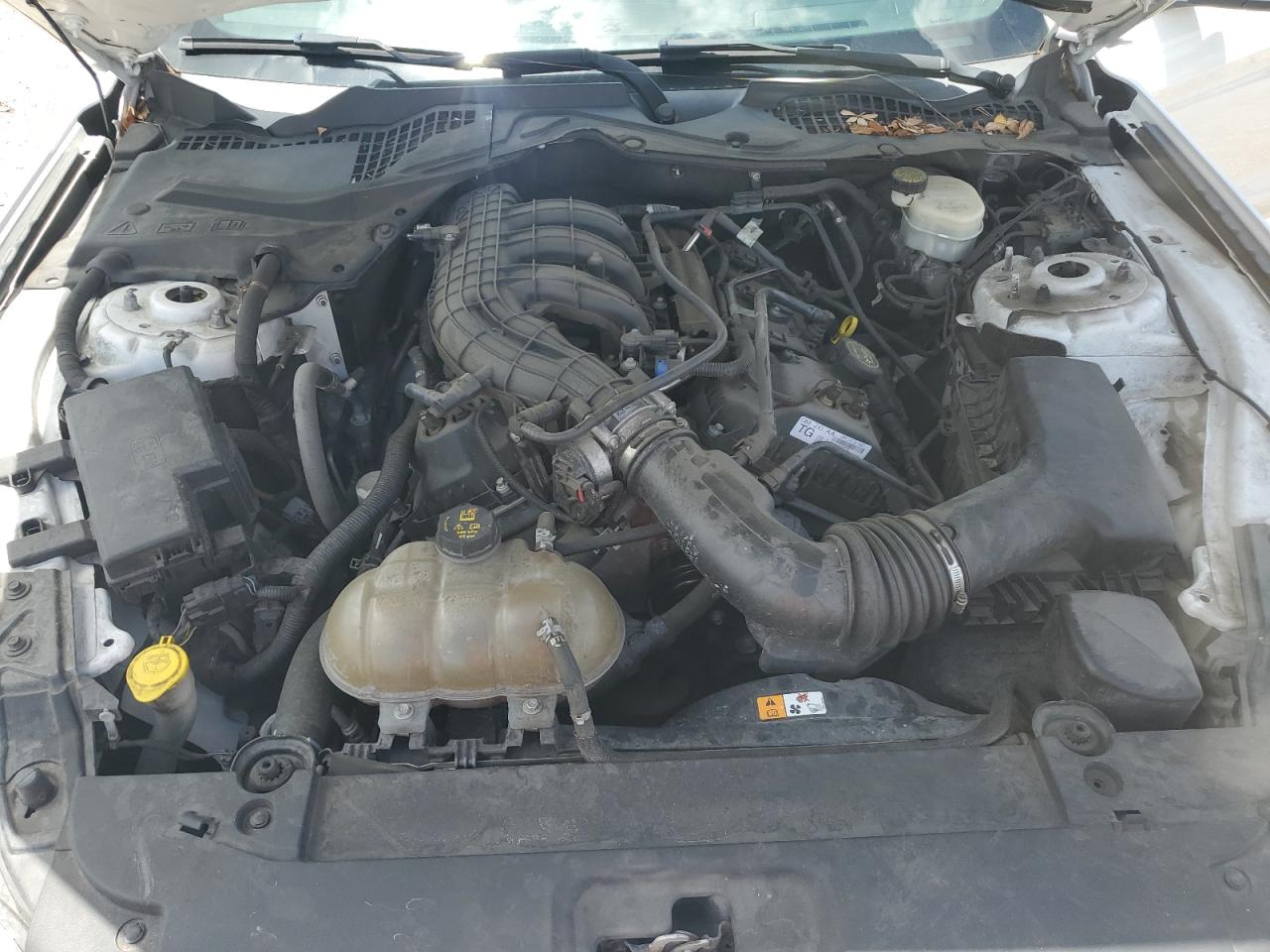 2016 Ford Mustang VIN: 1FA6P8AMXG5326686 Lot: 64145224