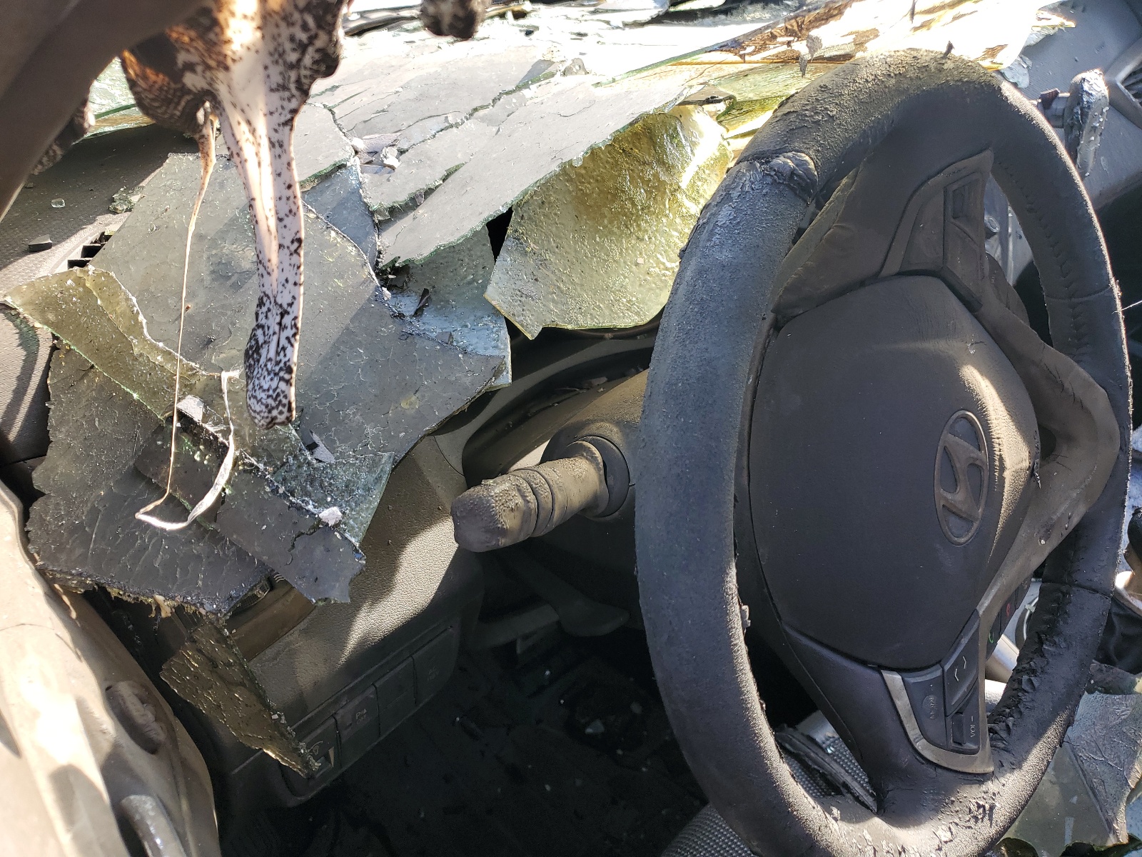 KMHTC6AD2CU023510 2012 Hyundai Veloster