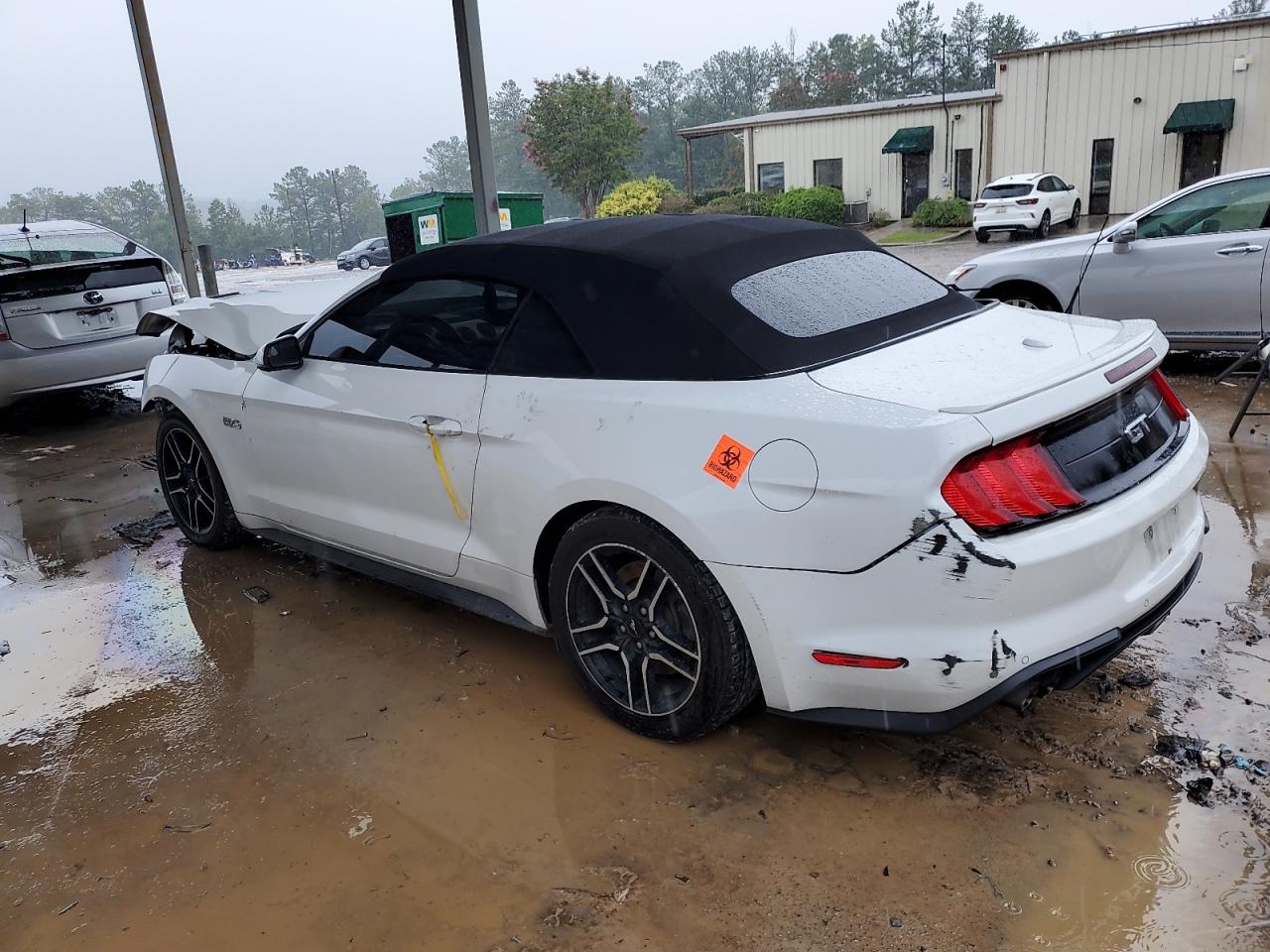 1FATP8FF6K5169941 2019 FORD MUSTANG - Image 2