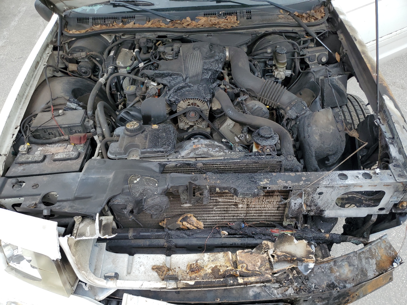 2FAFP74WX4X140874 2004 Ford Crown Victoria Lx