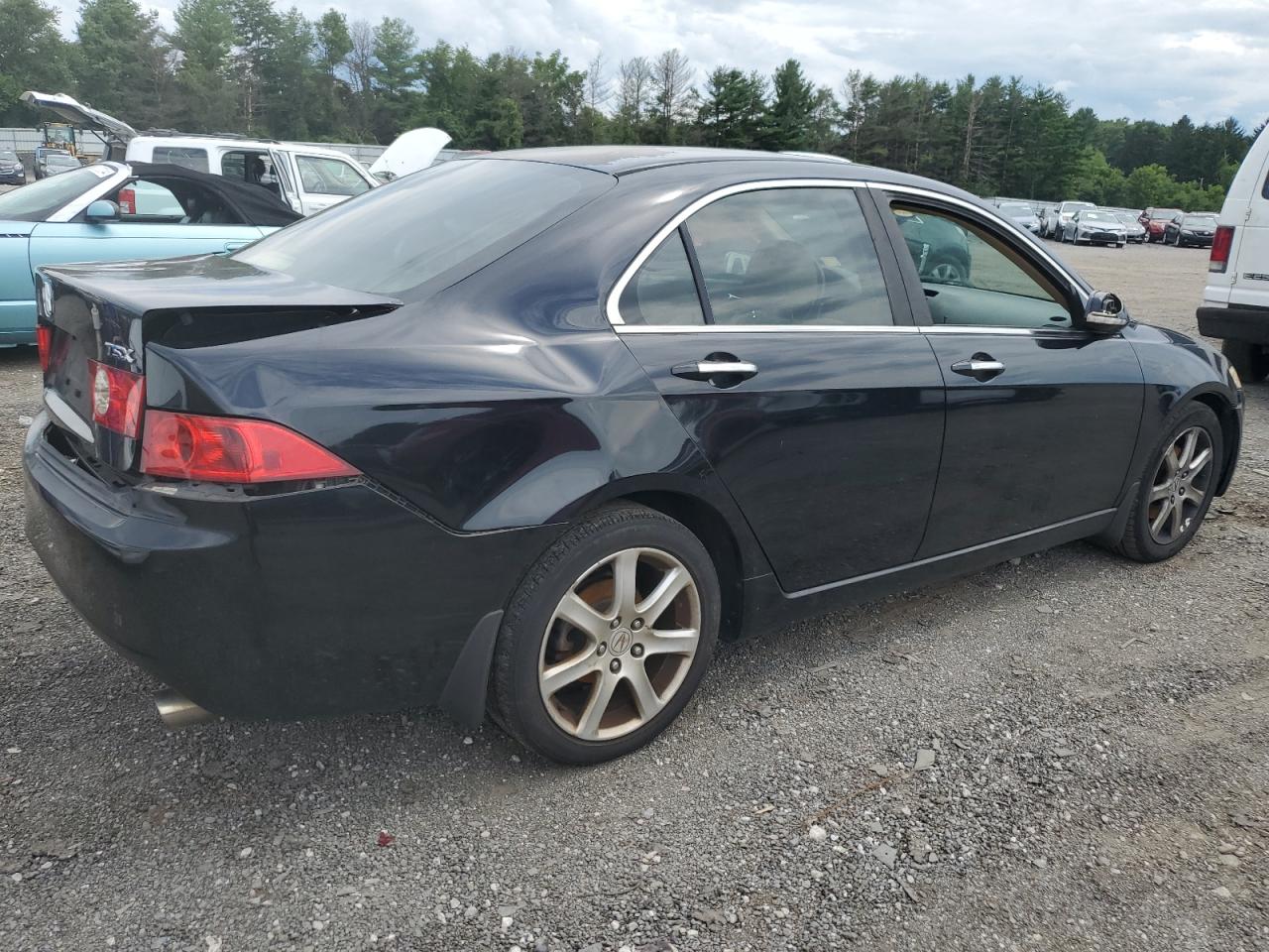 2004 Acura Tsx VIN: JH4CL96904C035445 Lot: 63818164