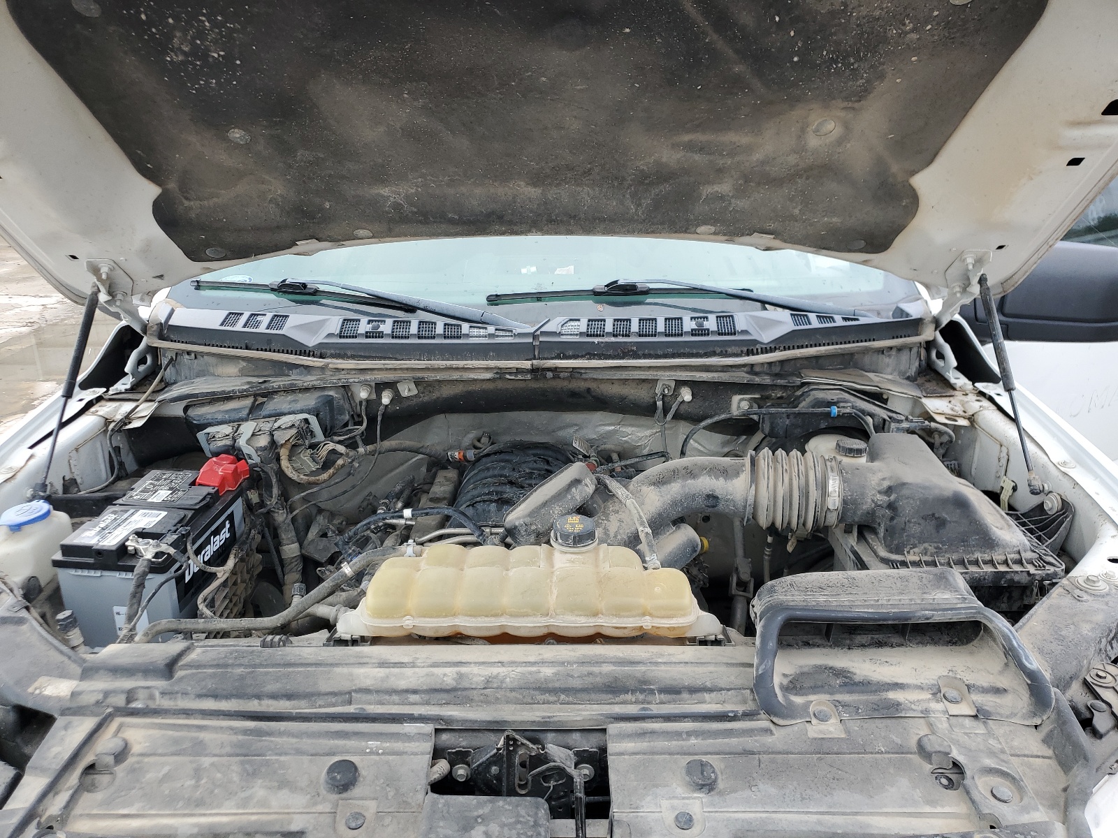 1FTEW1E59KKC89465 2019 Ford F150 Supercrew