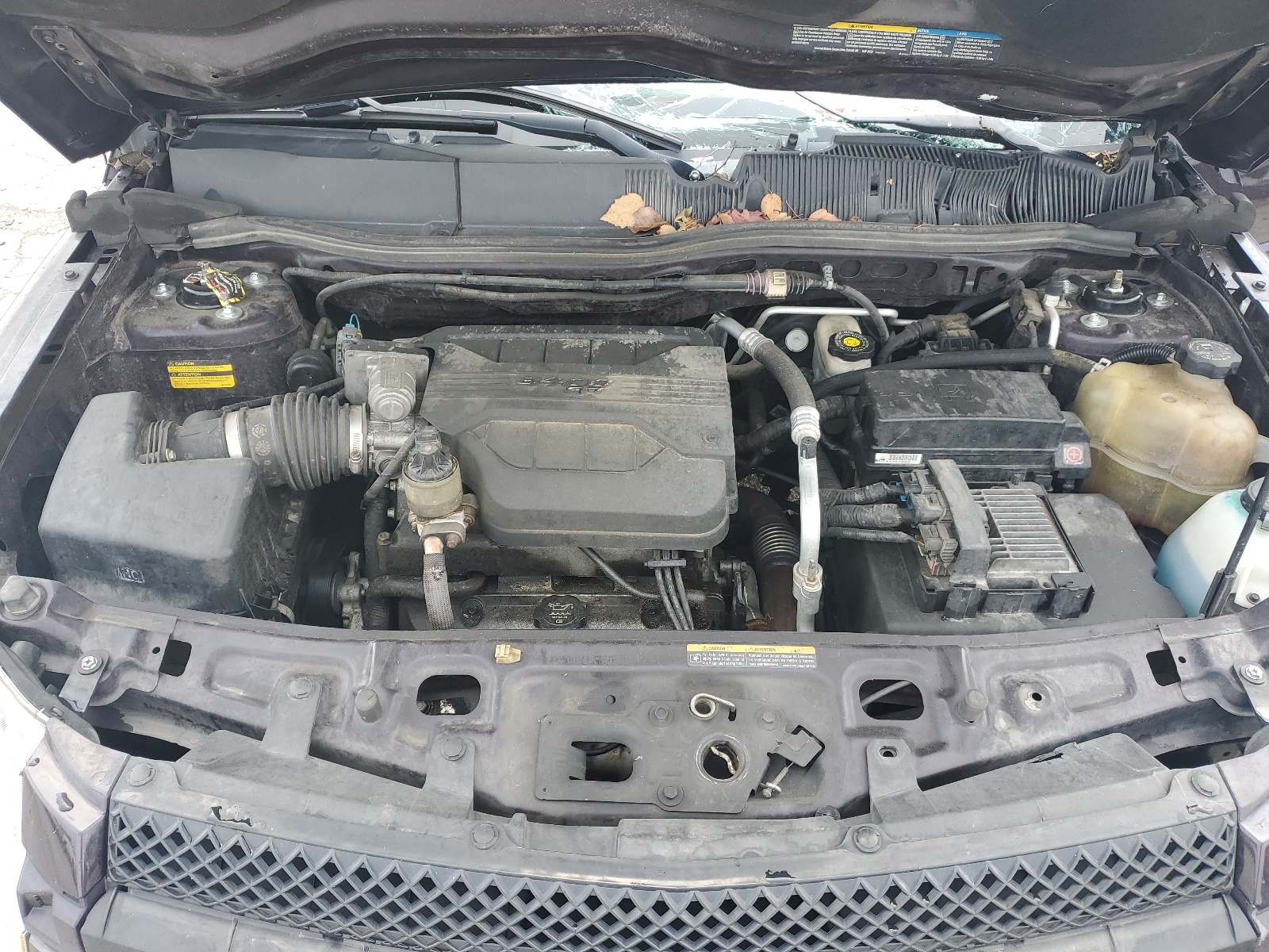 2CNDL73F566050826 2006 Chevrolet Equinox Lt