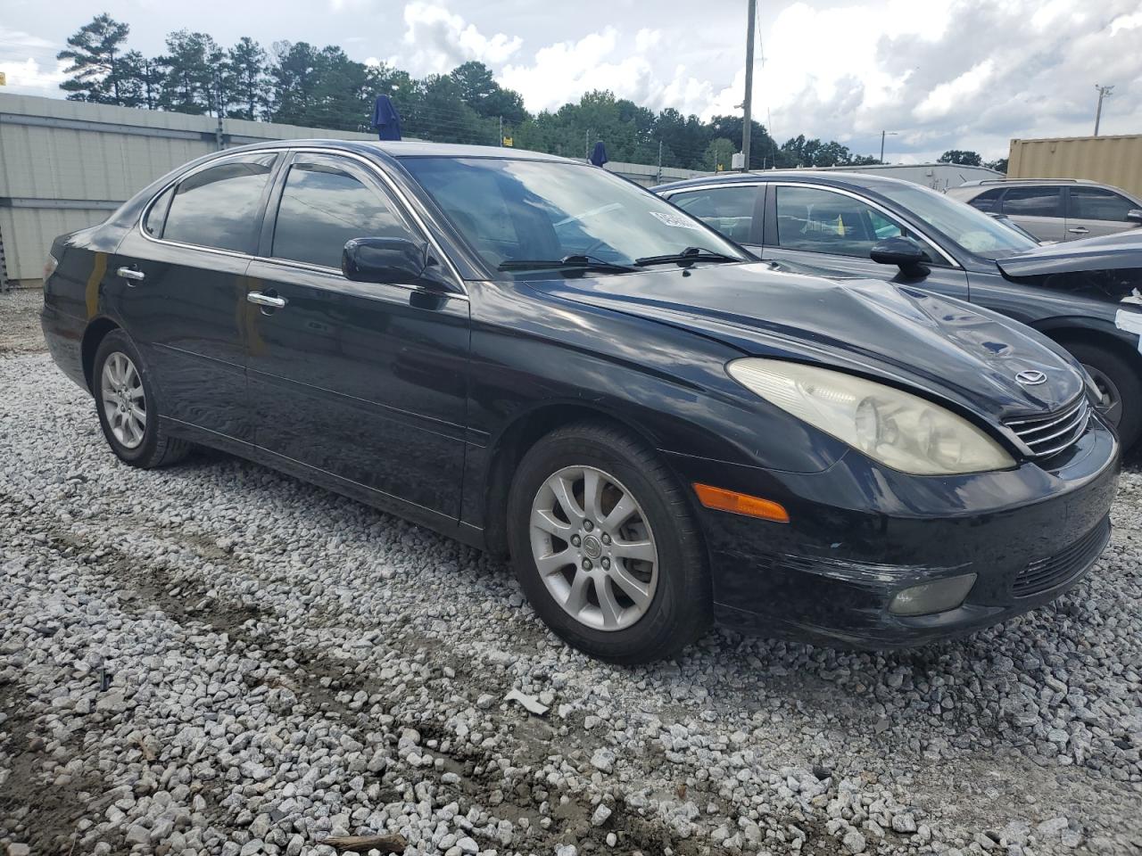 2002 Lexus Es 300 VIN: JTHBF30G020045009 Lot: 64548654