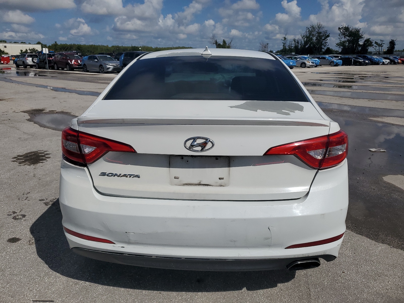 5NPE24AF8GH404039 2016 Hyundai Sonata Se