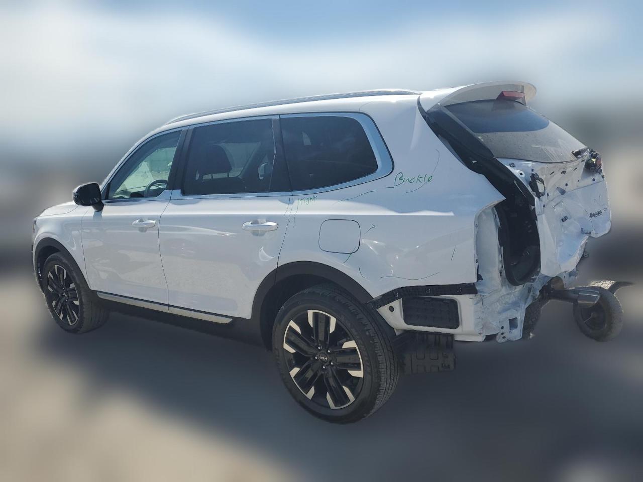 2023 Kia Telluride Sx VIN: 5XYP5DGC7PG409446 Lot: 64804134