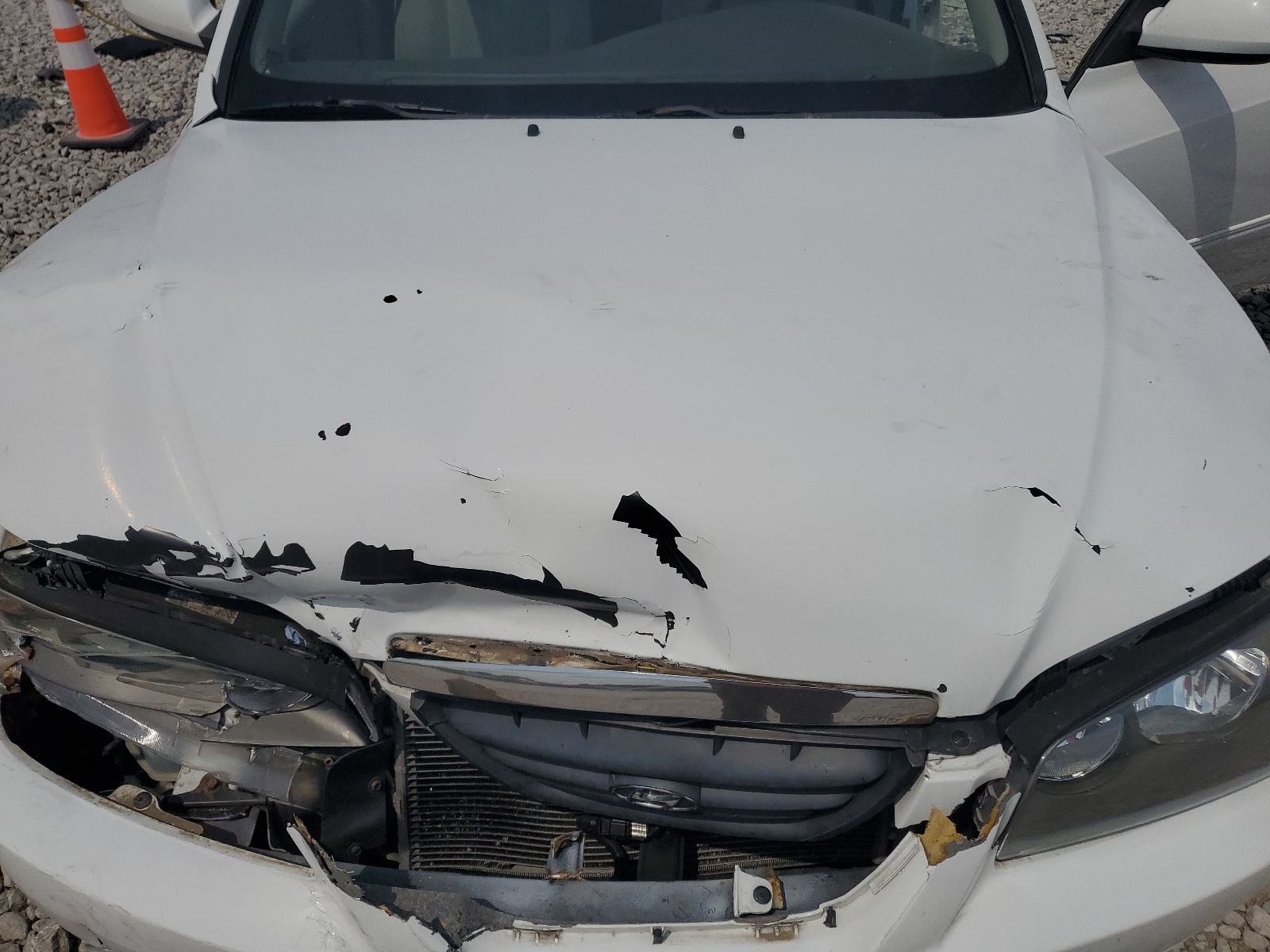 KMHDN46D95U151886 2005 Hyundai Elantra Gls