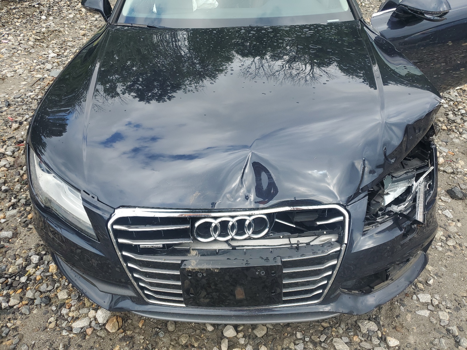 WAU2GAFC1DN113523 2013 Audi A7 Prestige