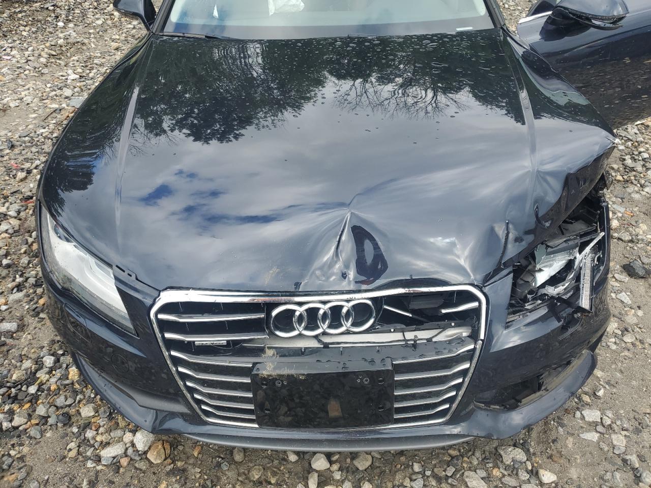 2013 Audi A7 Prestige VIN: WAU2GAFC1DN113523 Lot: 65336854