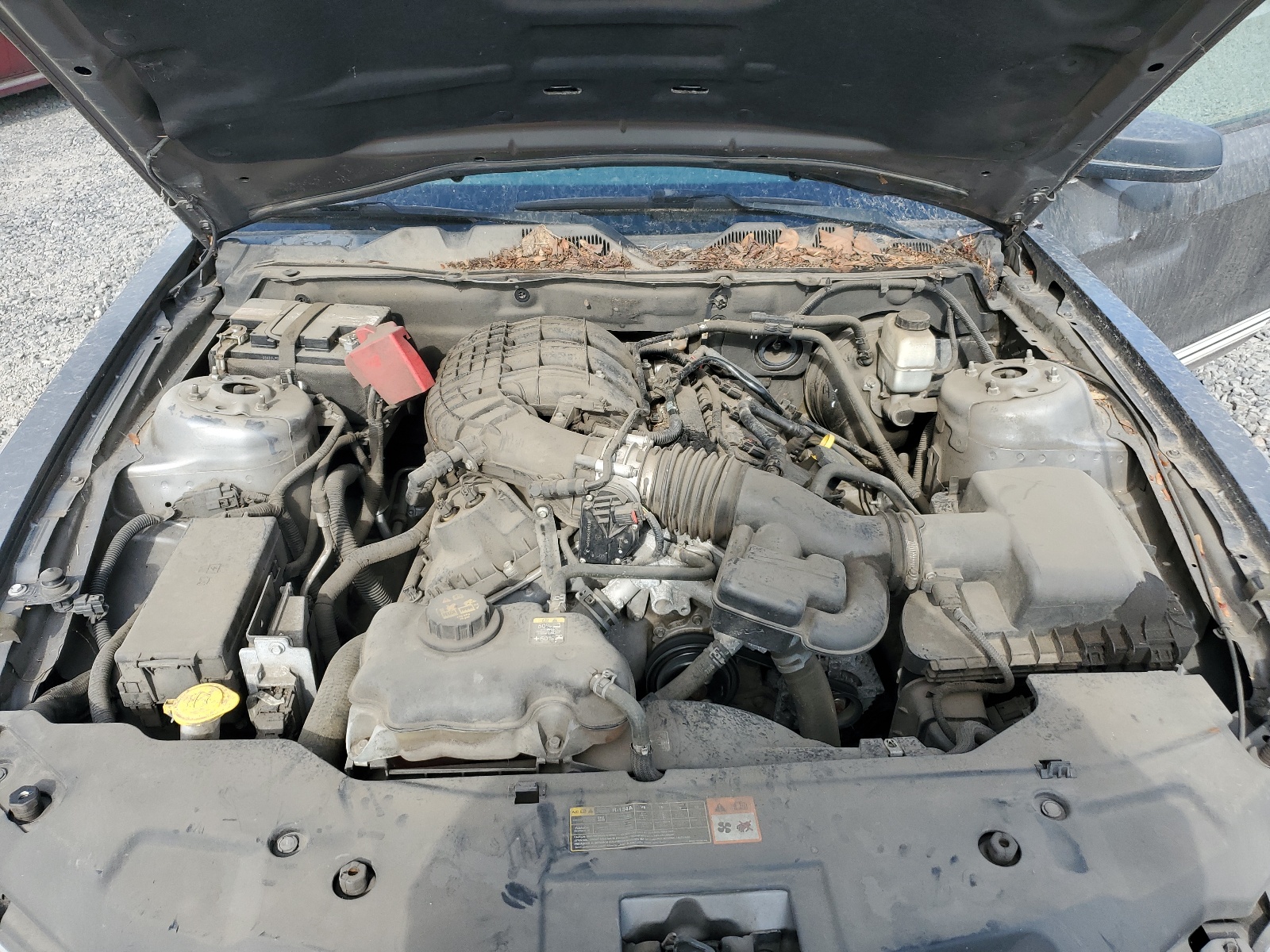 1ZVBP8AM8B5114898 2011 Ford Mustang