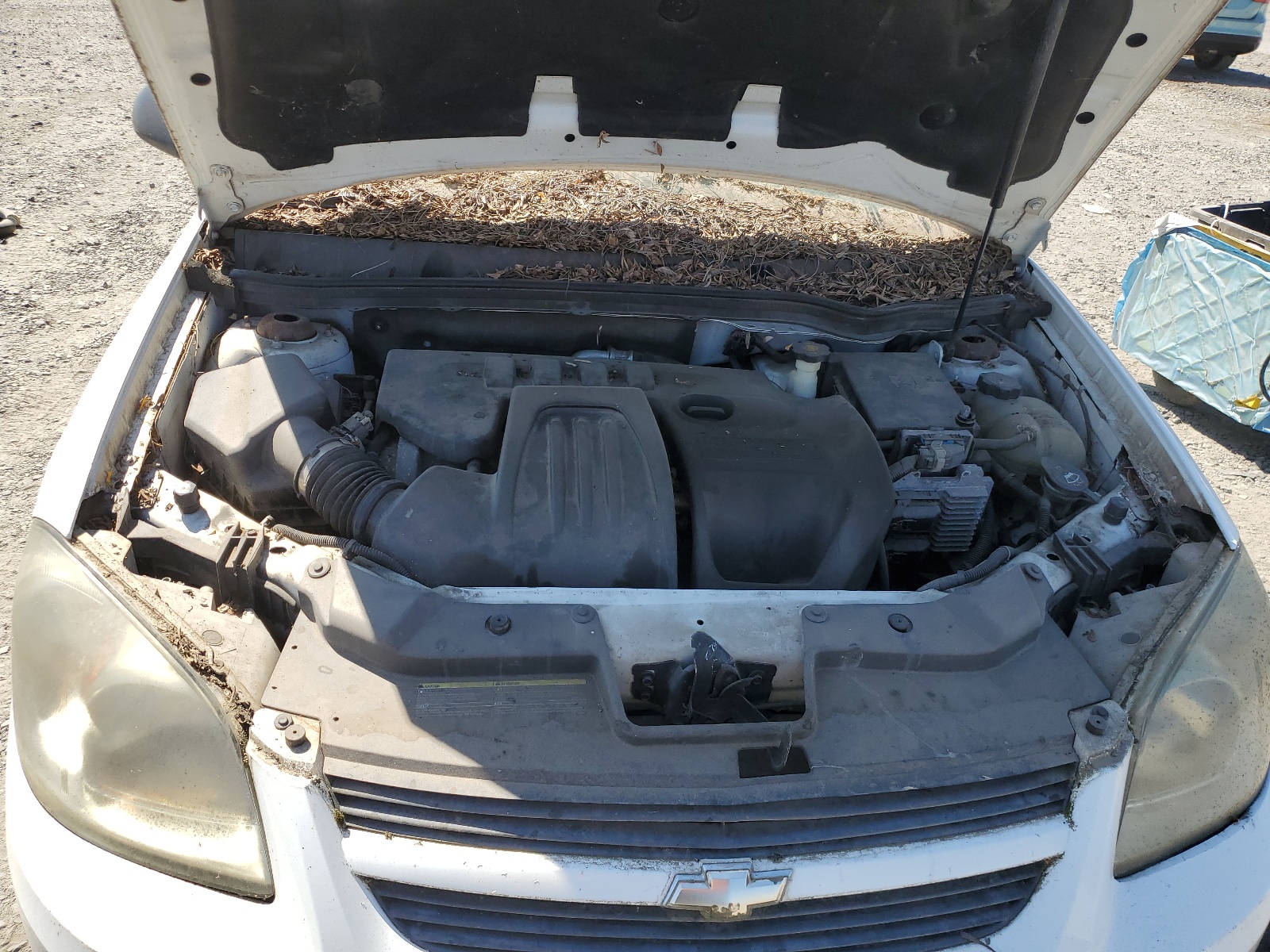 1G1AB5F5XA7107816 2010 Chevrolet Cobalt Ls