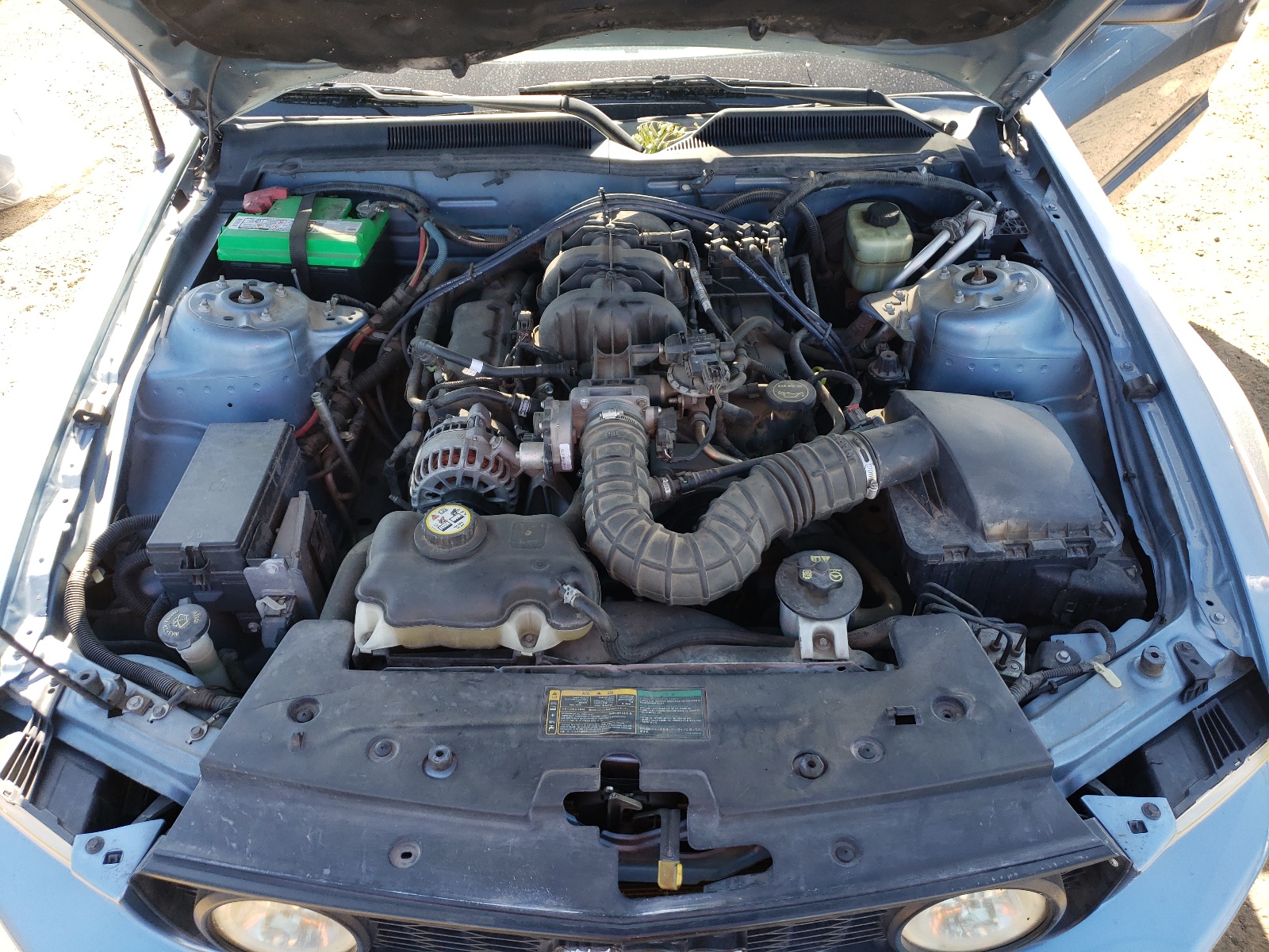 1ZVFT80N165141194 2006 Ford Mustang