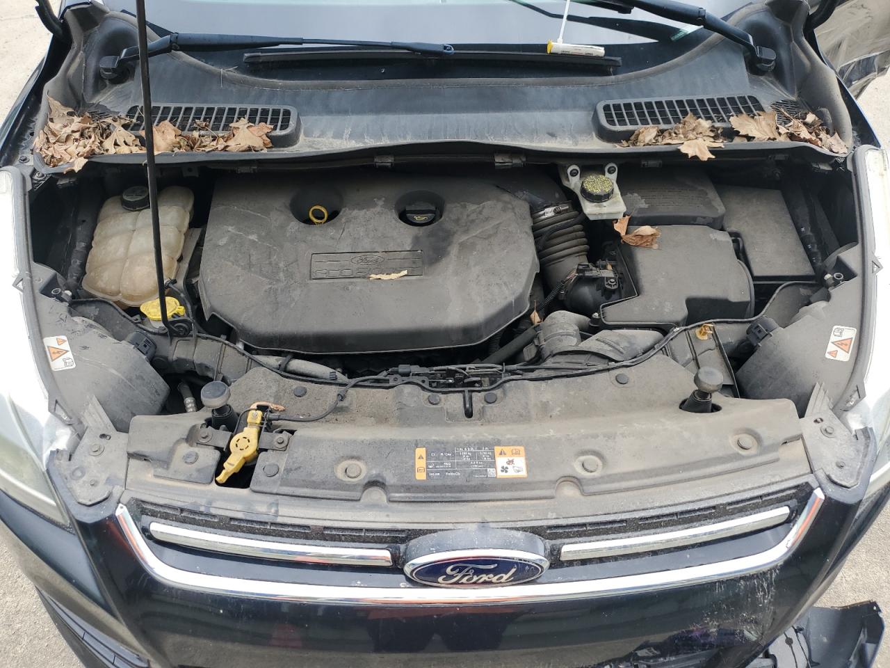 2013 Ford Escape Titanium VIN: 1FMCU0J94DUD66052 Lot: 64510734