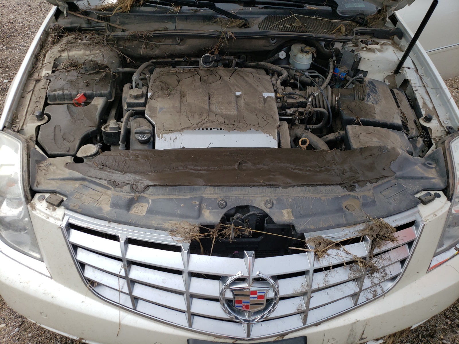 1G6KD5EY1AU132061 2010 Cadillac Dts Luxury Collection