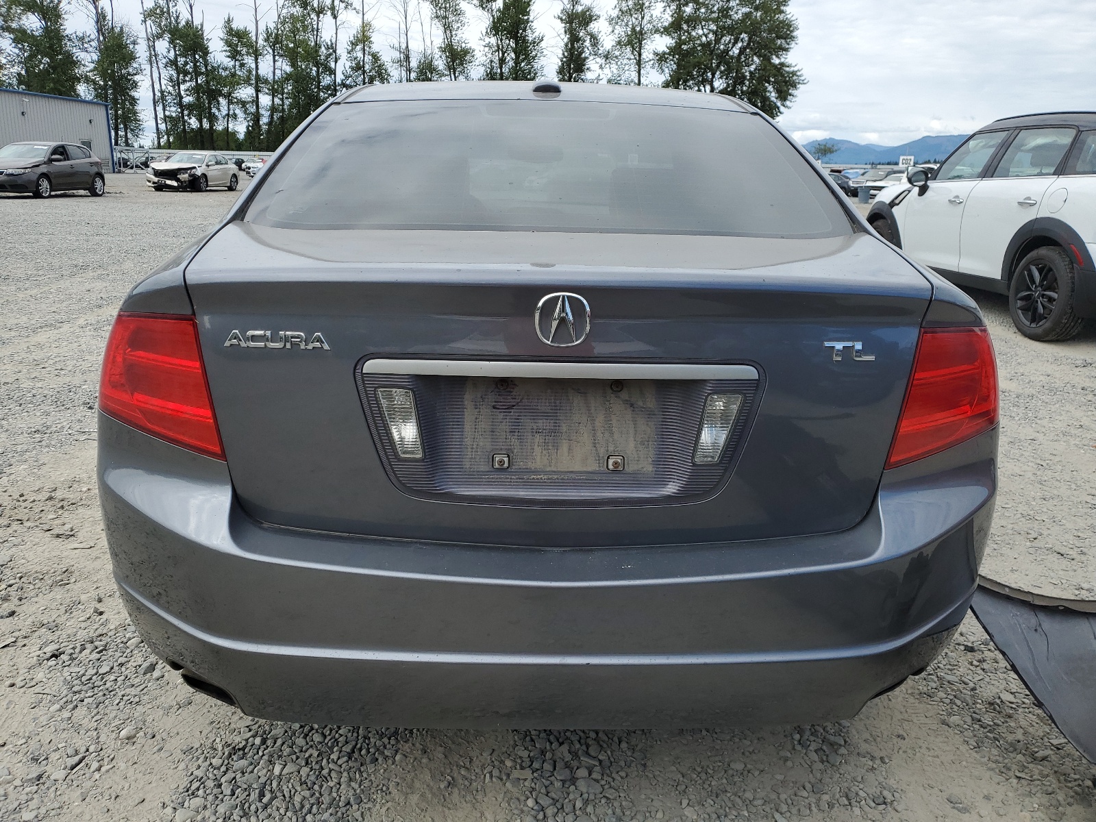 19UUA65576A021308 2006 Acura 3.2Tl