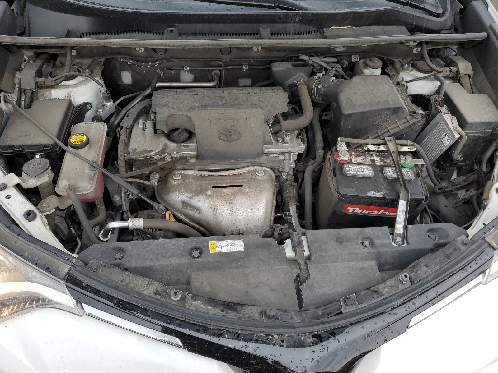 2T3BFREV5HW619877 2017 Toyota Rav4 Le