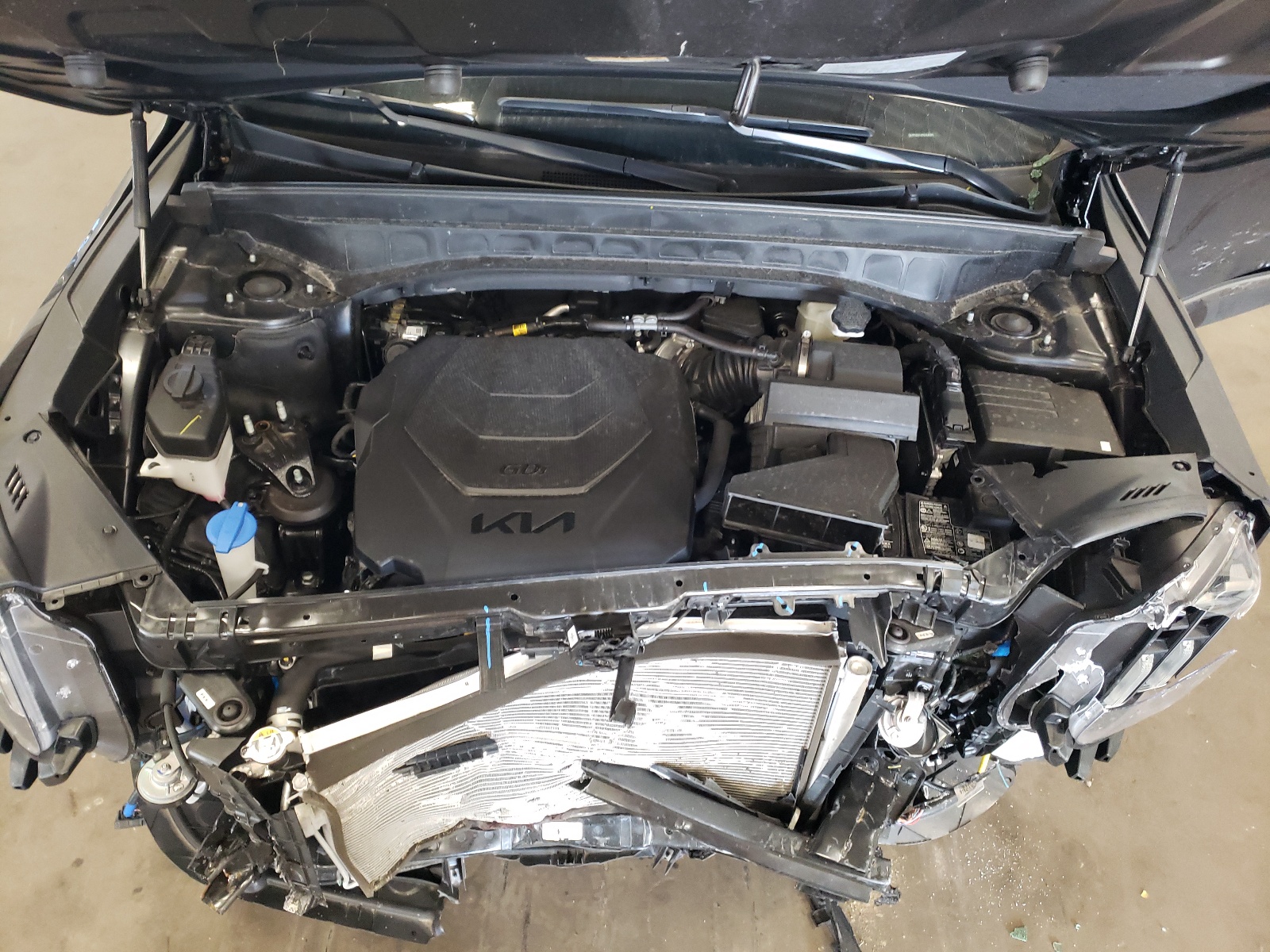 5XYP5DGC6PG384085 2023 Kia Telluride Sx