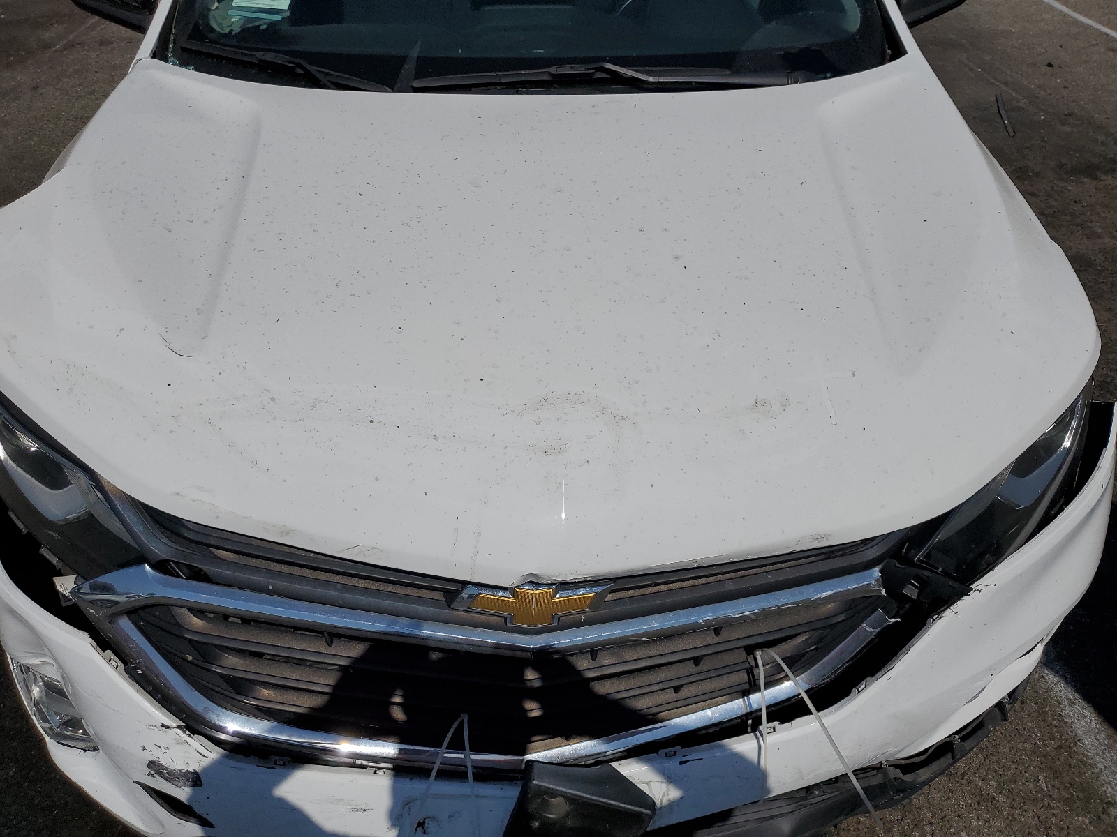 3GNAXHEV8KS641323 2019 Chevrolet Equinox Ls