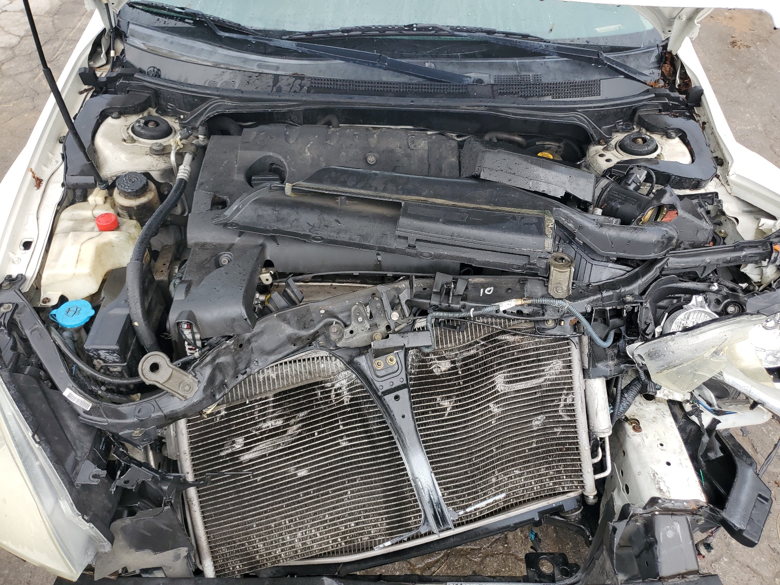 1N4AL11D83C342565 2003 Nissan Altima Base