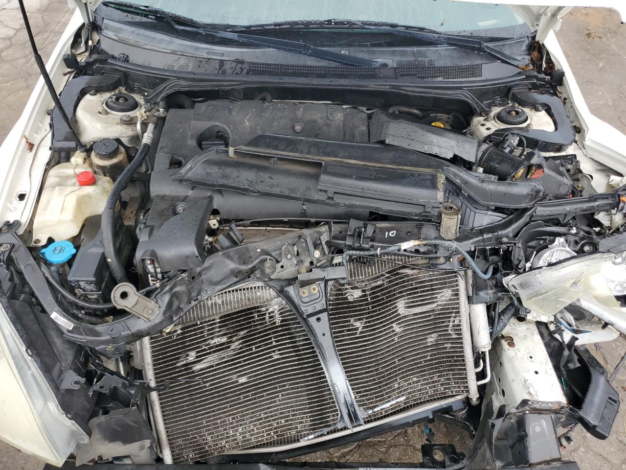 2003 Nissan Altima Base VIN: 1N4AL11D83C342565 Lot: 65072384