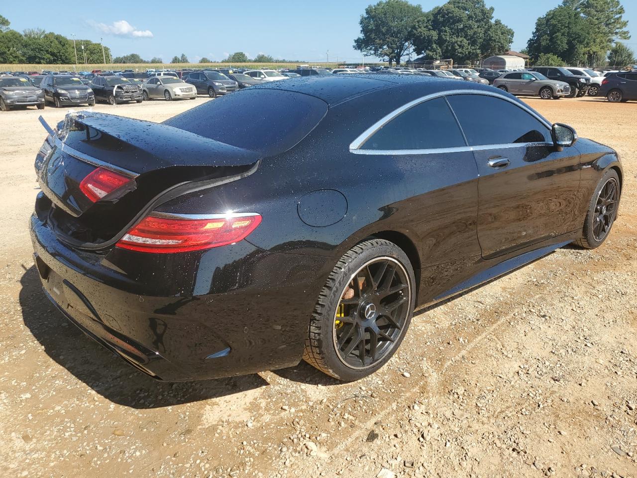 2015 Mercedes-Benz S 550 VIN: WDDXJ8FB8FA007256 Lot: 62681154