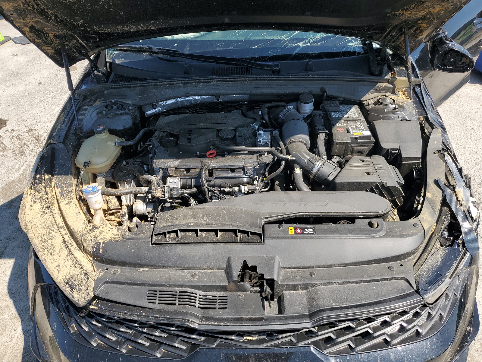 5XXG64J23RG236612 2024 Kia K5 Gt Line