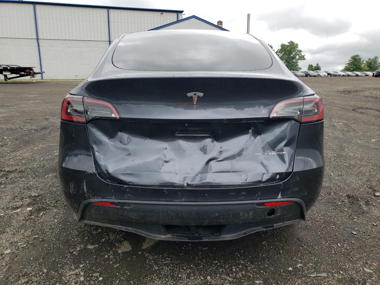 2024 Tesla Model Y VIN: 7SAYGDEEXRA229505 Lot: 62230864