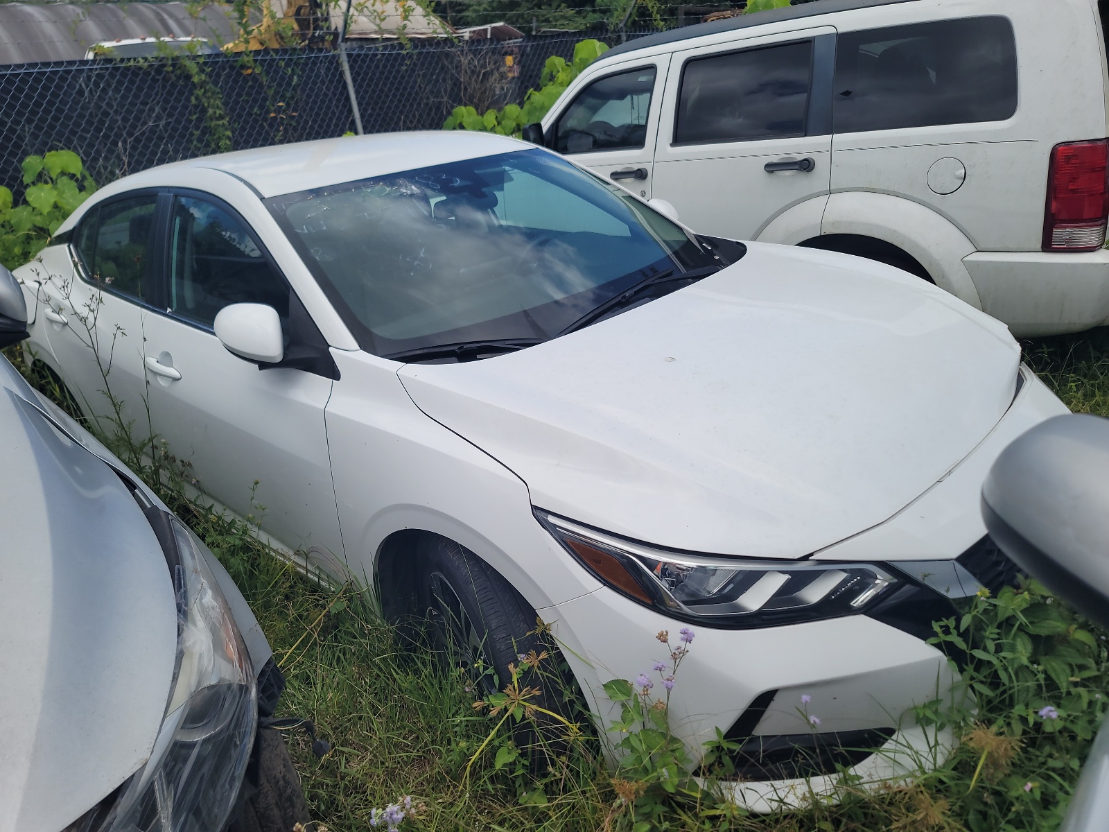 2022 Nissan Sentra Sv vin: 3N1AB8CV8NY255841