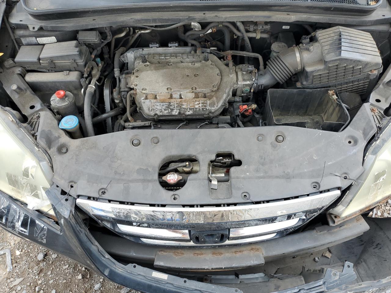 2007 Honda Odyssey Exl VIN: 5FNRL38707B091106 Lot: 63551174