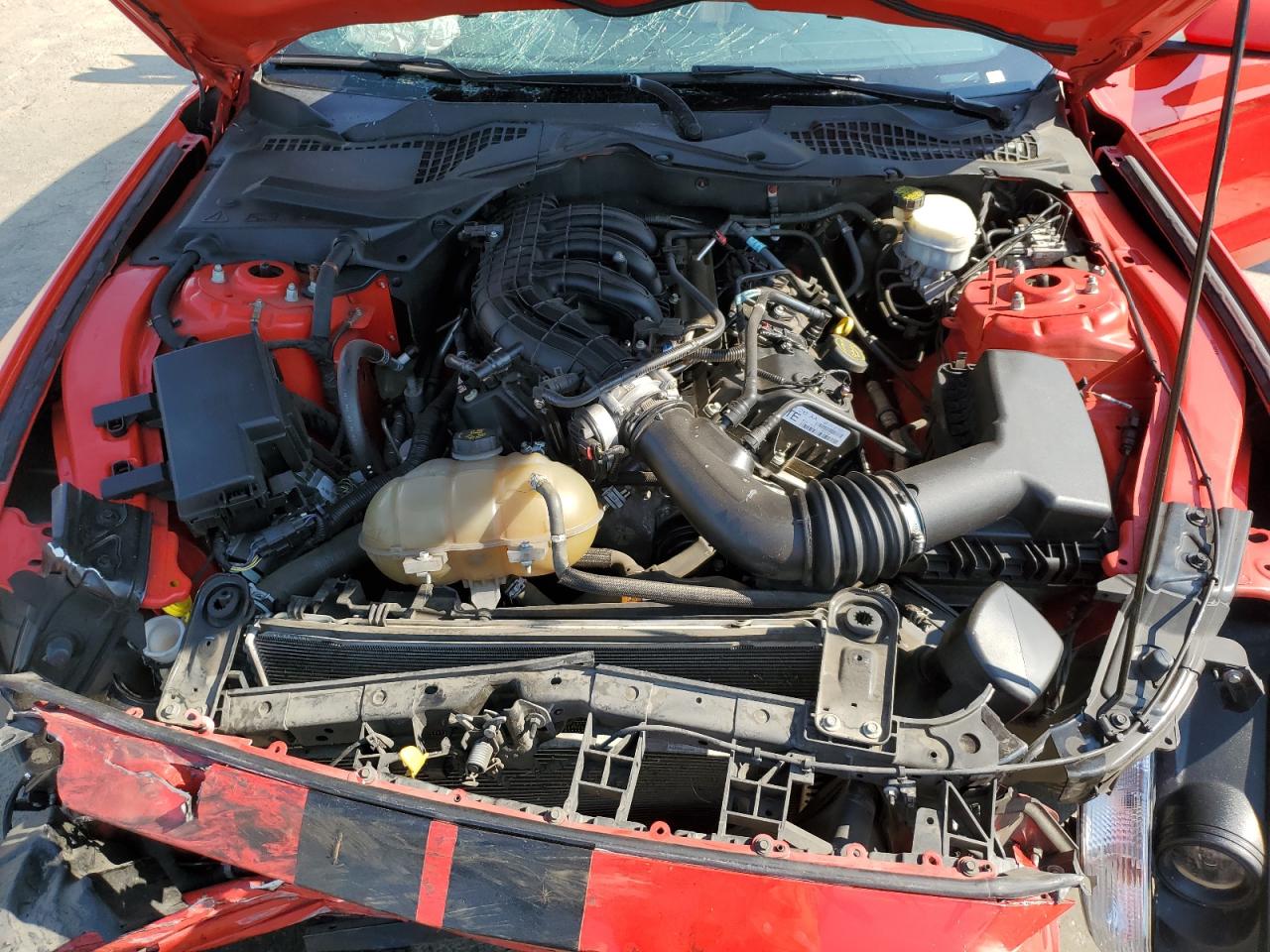 2015 Ford Mustang VIN: 1FA6P8AM2F5319018 Lot: 62313224