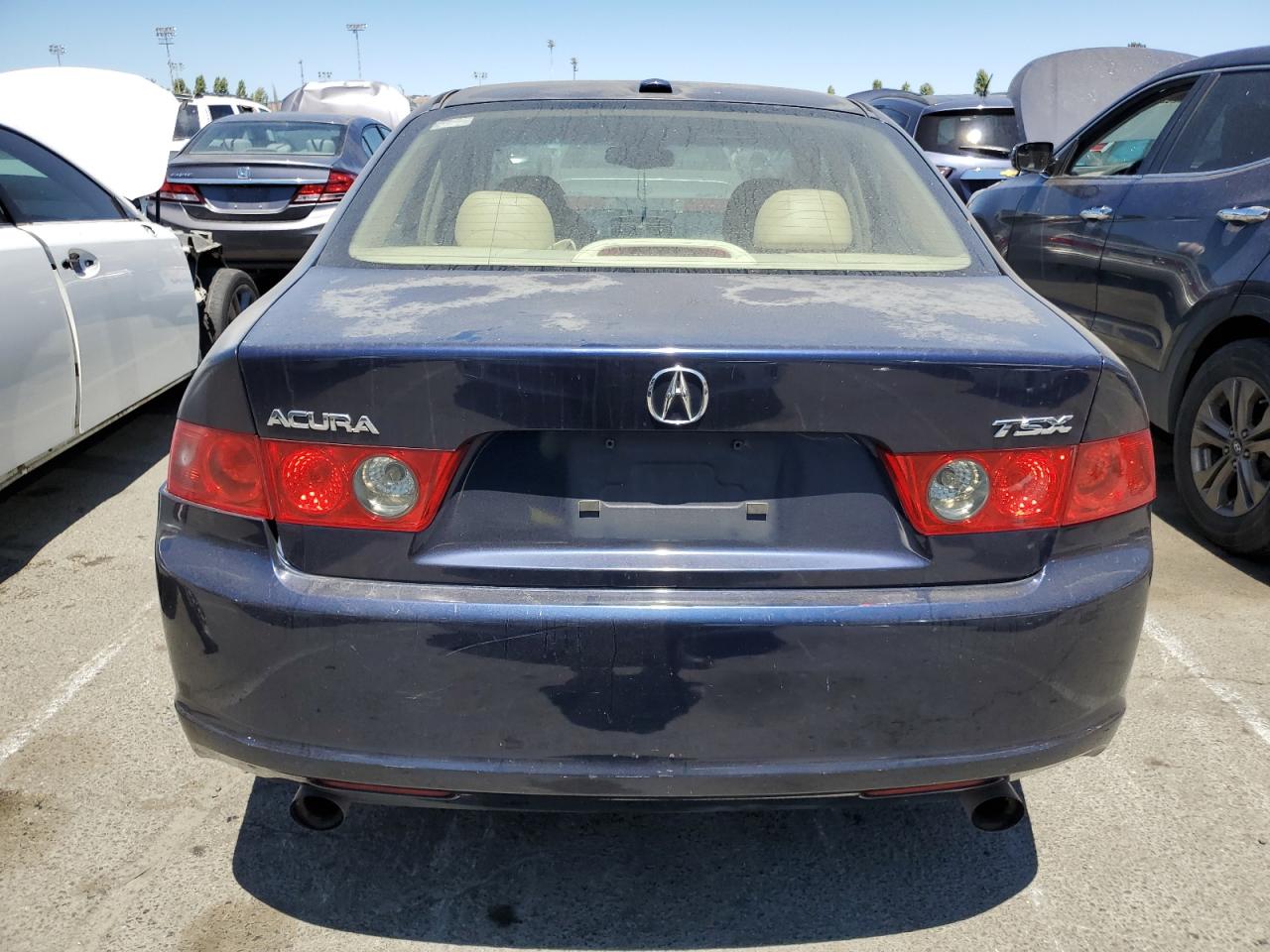 2006 Acura Tsx VIN: JH4CL96926C031240 Lot: 63528974