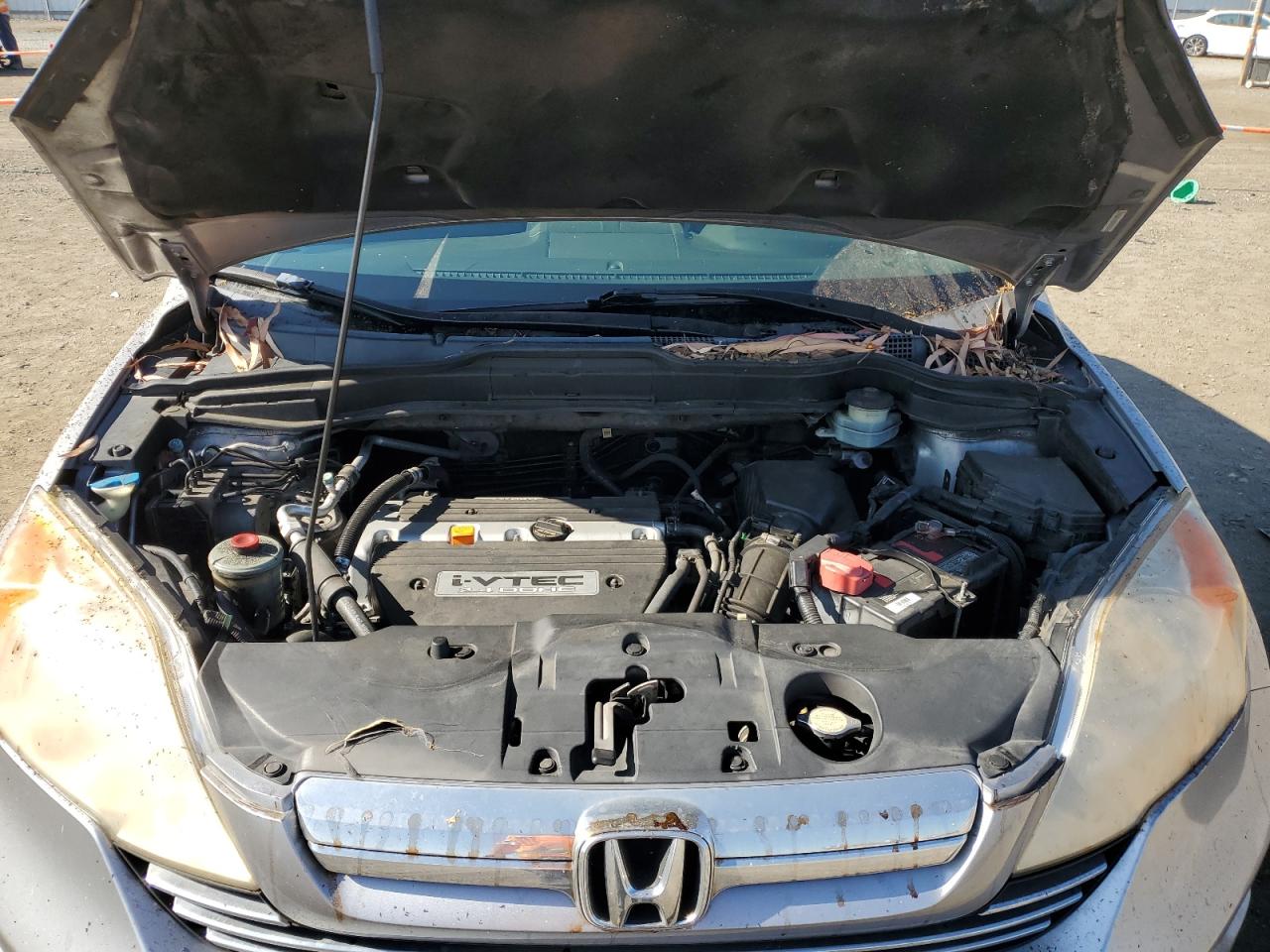 2007 Honda Cr-V Ex VIN: JHLRE38507C022893 Lot: 64912784