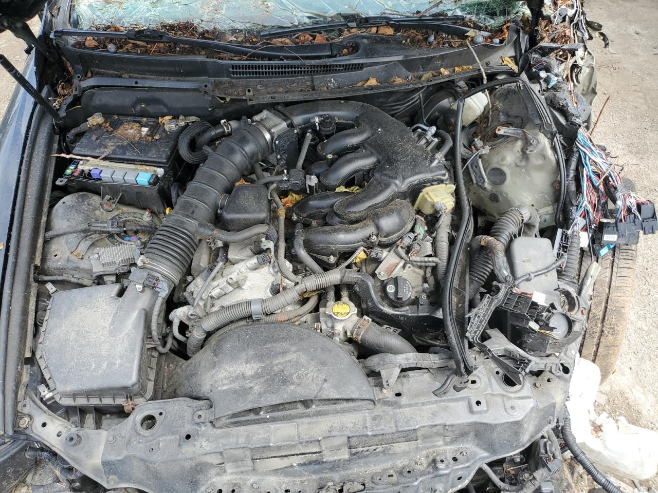 2010 Lexus IS - Image 11