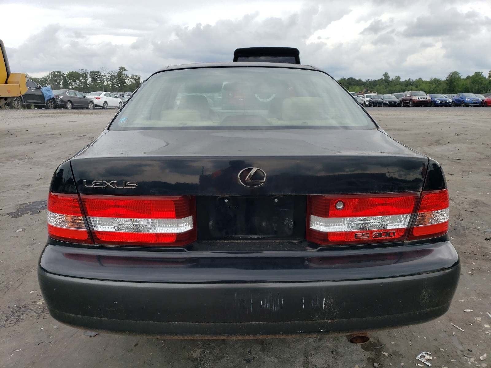 JT8BF28G8Y5092542 2000 Lexus Es 300