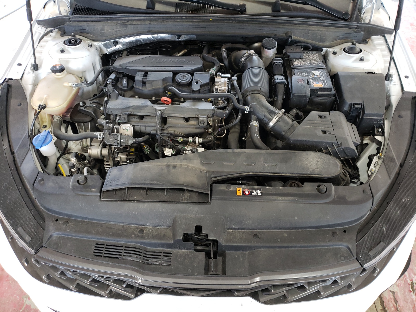 5XXG64J29PG196100 2023 Kia K5 Gt Line