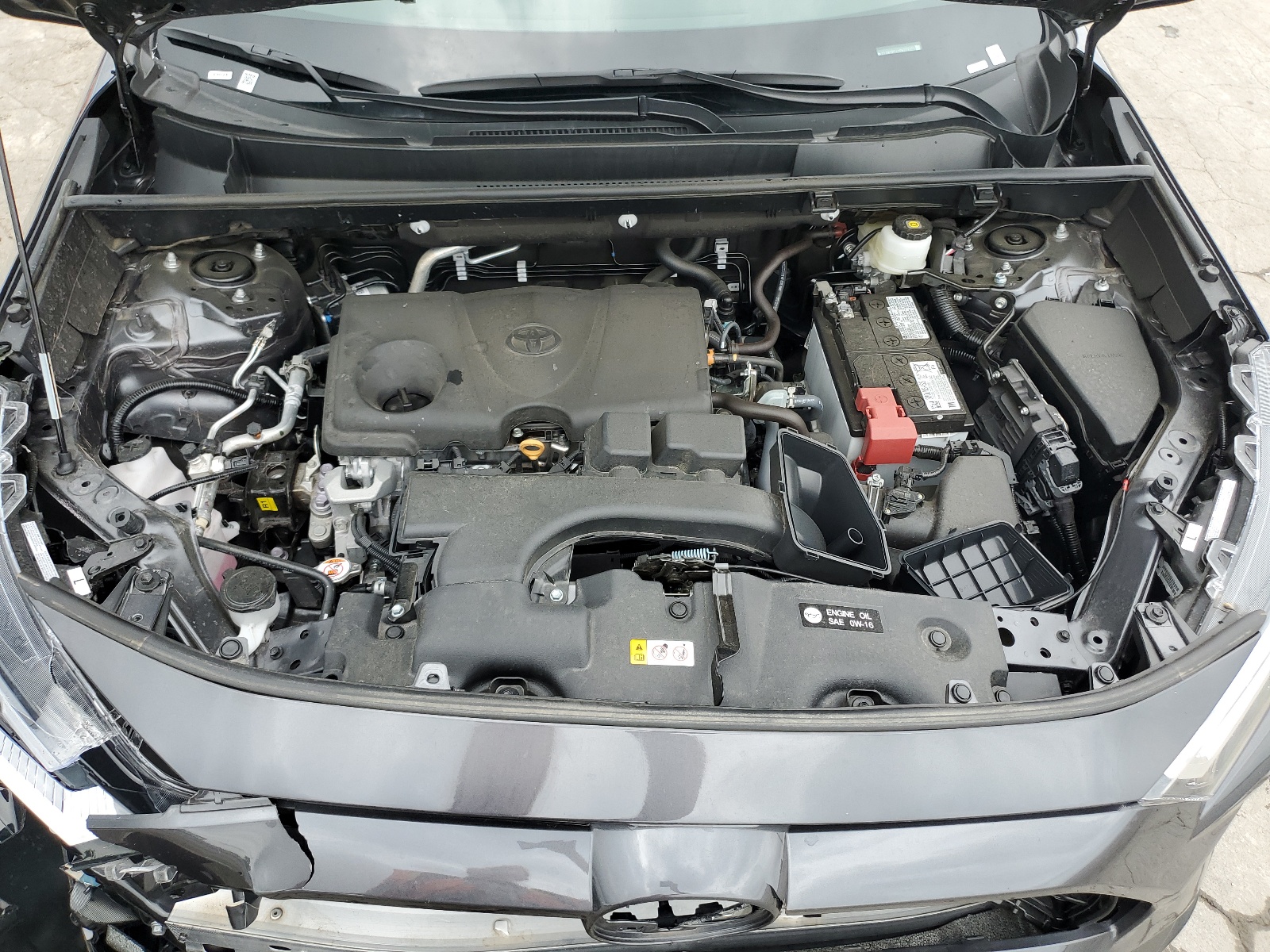 2T3W1RFV1RW323271 2024 Toyota Rav4 Xle