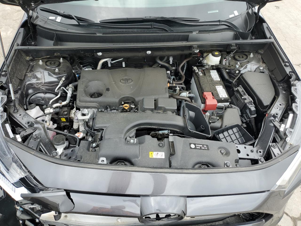 2024 Toyota Rav4 Xle VIN: 2T3W1RFV1RW323271 Lot: 64520264