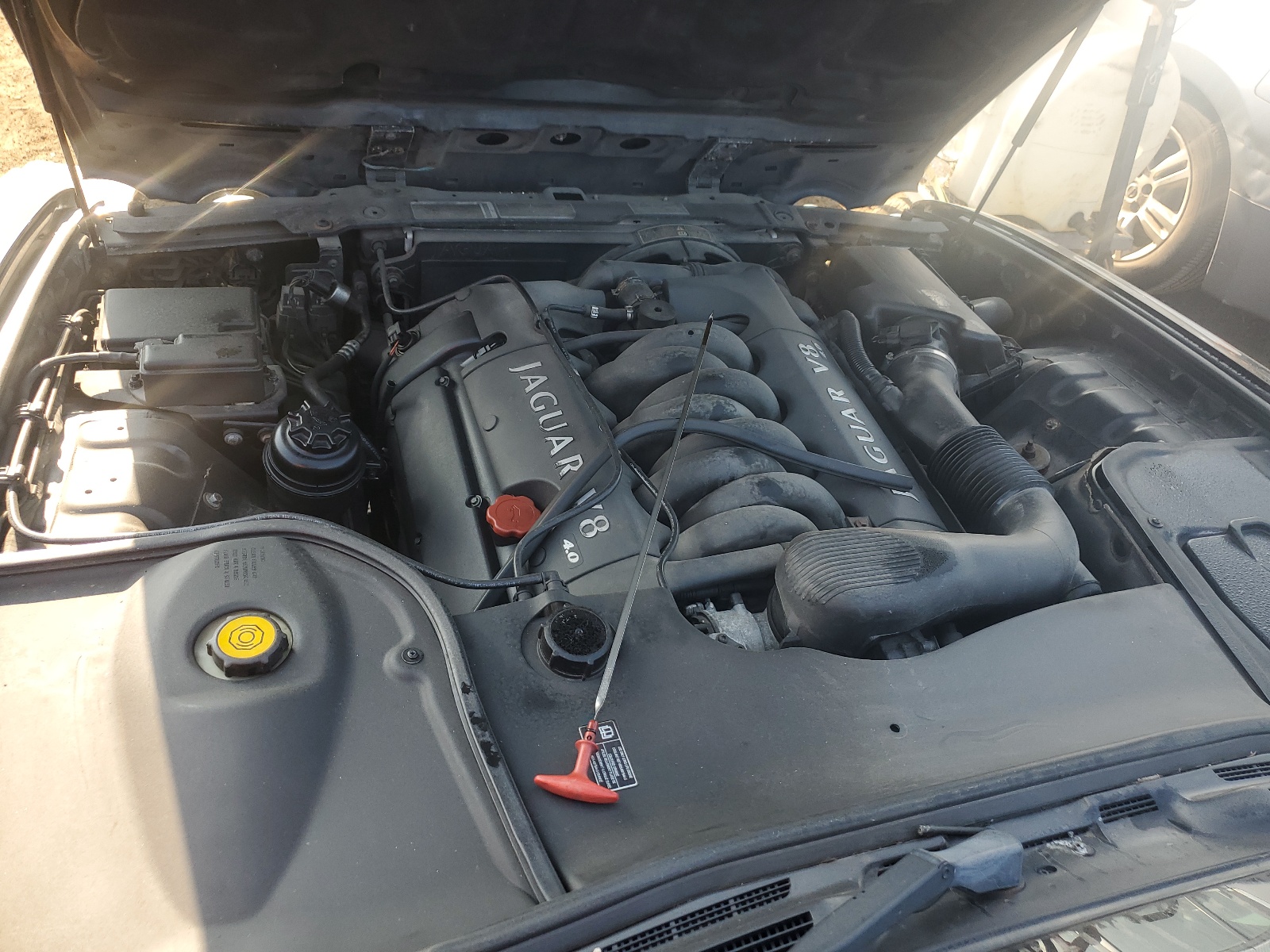 SAJDA24C93LF49895 2003 Jaguar Vandenplas