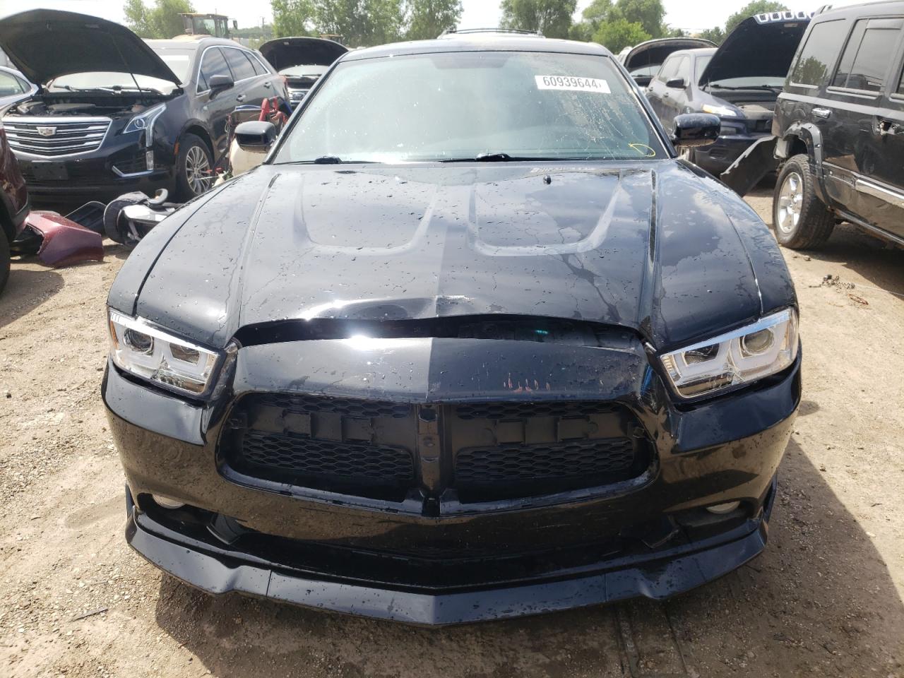 2011 Dodge Charger VIN: 2B3CL3CG7BH593452 Lot: 60939644